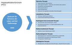 Hepatozelluläres Karzinom (HCC)