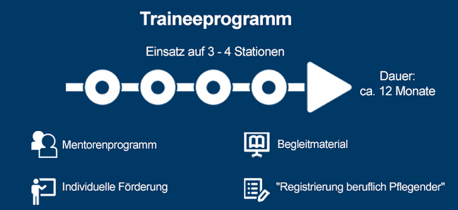 Grafik Ablauf Traineeprogramm